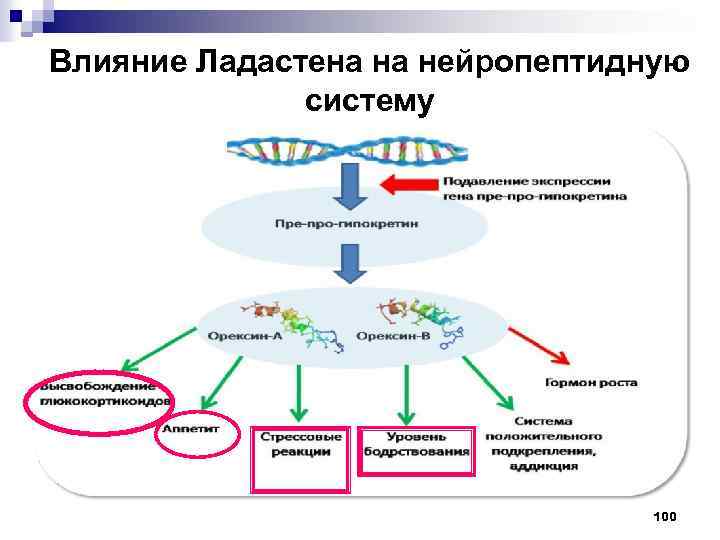 Ладастен