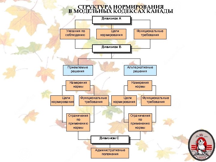 СТРУКТУРА НОРМИРОВАНИЯ В МОДЕЛЬНЫХ КОДЕКСАХ КАНАДЫ Дивизион A Указания по соблюдению Цели нормирования Функциональные