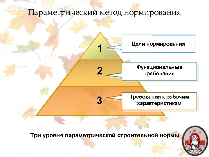 Scope of the Reform Параметрический метод нормирования 1 Цели нормирования 2 Функциональные требования 3