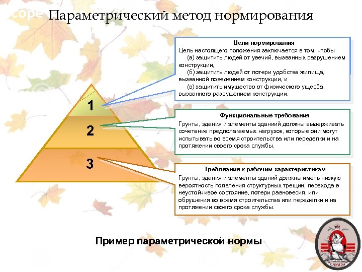 Scope of the Reform Параметрический метод нормирования Цели нормирования Цель настоящего положения заключается в