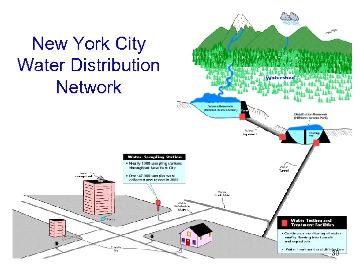 New York City Water Distribution Network 30 