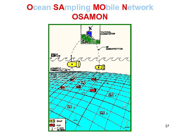 Ocean SAmpling MObile Network OSAMON 37 