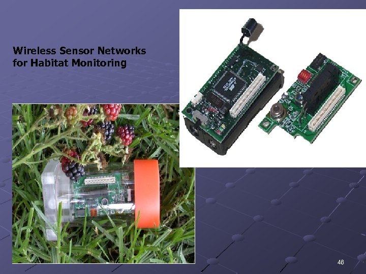 Wireless Sensor Networks for Habitat Monitoring 46 