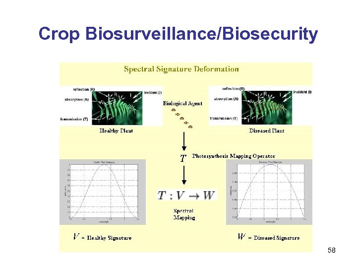 Crop Biosurveillance/Biosecurity 58 