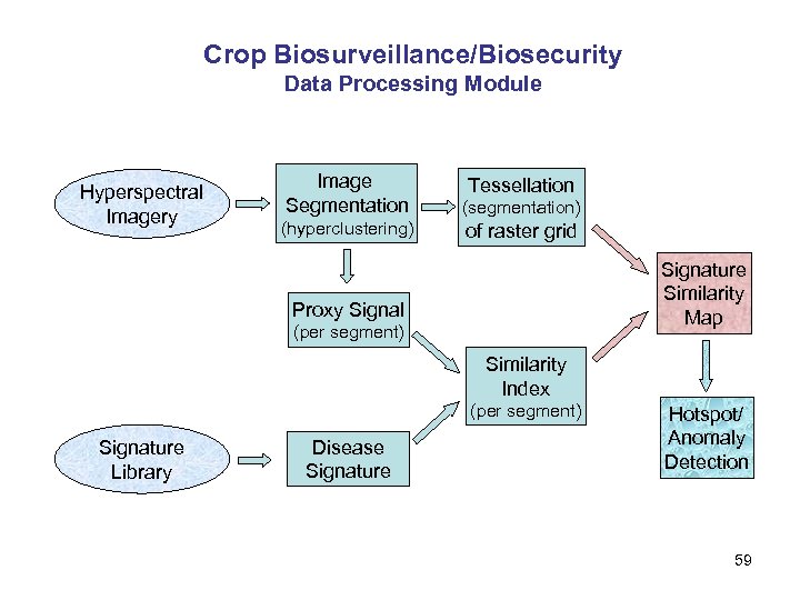 Crop Biosurveillance/Biosecurity Data Processing Module Hyperspectral Imagery Image Segmentation (segmentation) (hyperclustering) of raster grid