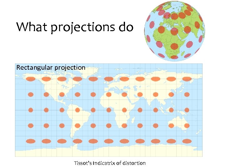 What projections do Rectangular projection Tissot’s Indicatrix of distortion 