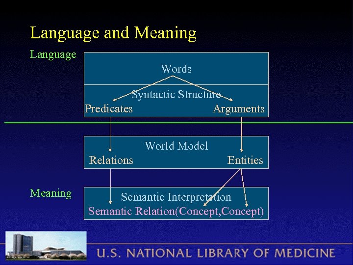 Language and Meaning Language Words Syntactic Structure Predicates Arguments World Model Relations Meaning Entities