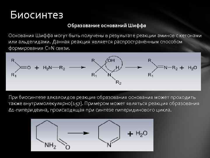 Биосинтез Образование оснований Шиффа Основания Шиффа могут быть получены в результате реакции аминов с