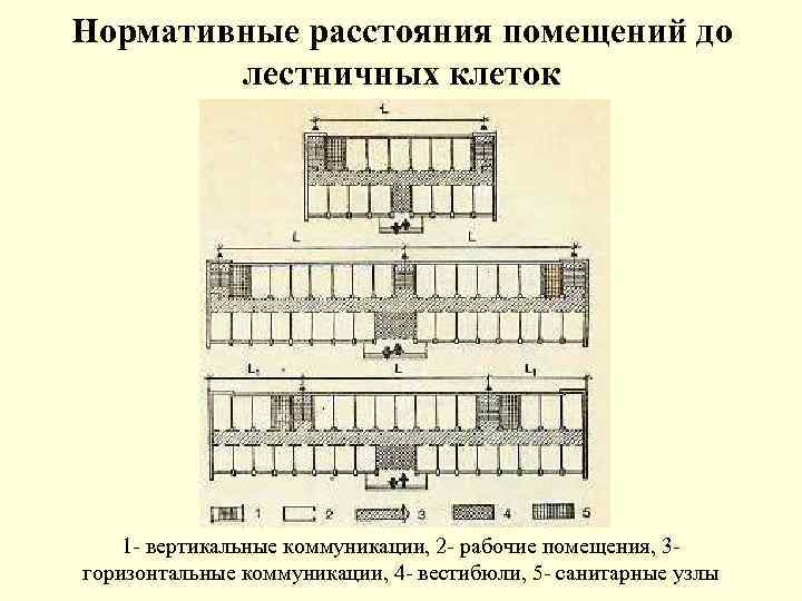 Нормативные расстояния помещений до лестничных клеток 1 - вертикальные коммуникации, 2 - рабочие помещения,
