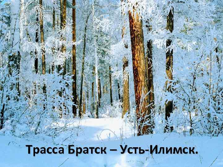 Трасса Братск – Усть-Илимск. 