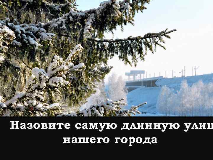 Назовите самую длинную улиц нашего города 