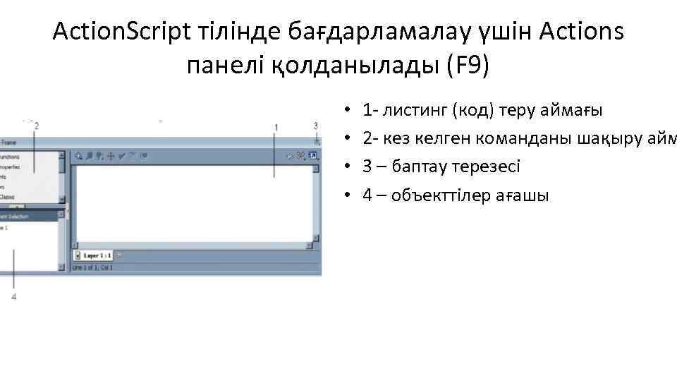 Web бағдарламалау презентация