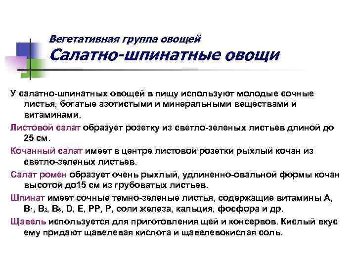 Вегетативная группа овощей Салатно-шпинатные овощи У салатно-шпинатных овощей в пищу используют молодые сочные листья,