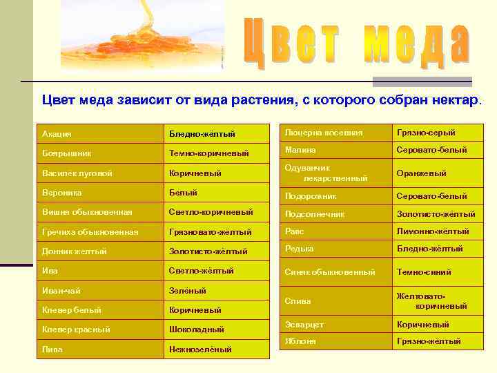 Цвет меда зависит от вида растения, с которого собран нектар. Акация Бледно-жёлтый Люцерна посевная