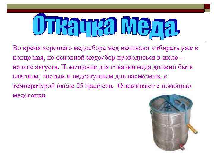 Во время хорошего медосбора мед начинают отбирать уже в конце мая, но основной медосбор
