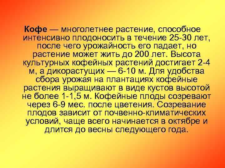 Кофе — многолетнее растение, способное интенсивно плодоносить в течение 25 -30 лет, после чего