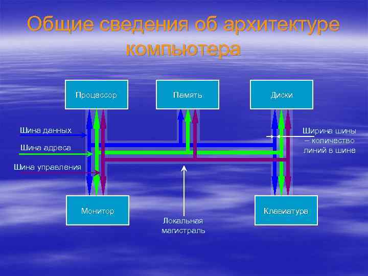 Общие сведения об архитектуре компьютера Процессор Память Шина данных Диски Ширина шины – количество