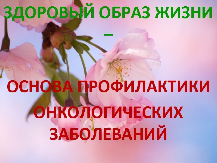 ЗДОРОВЫЙ ОБРАЗ ЖИЗНИ – ОСНОВА ПРОФИЛАКТИКИ ОНКОЛОГИЧЕСКИХ ЗАБОЛЕВАНИЙ 