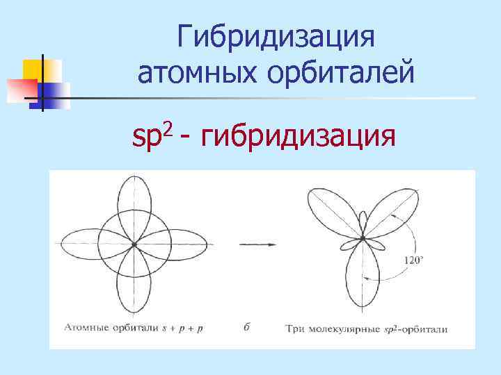 Гибридизация атомных орбиталей sр2 - гибридизация 