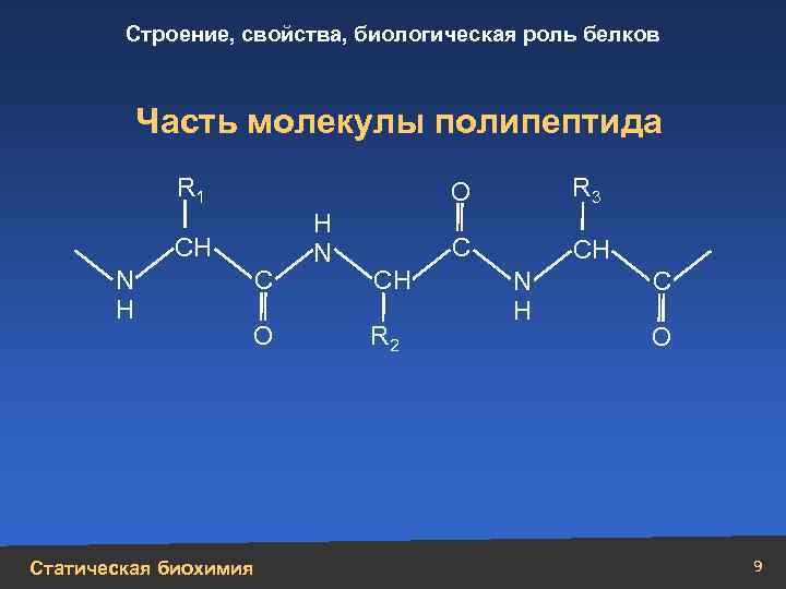 Форма молекулы полипептида