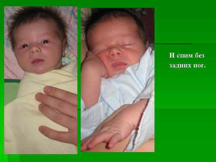 И спим без задних ног. 