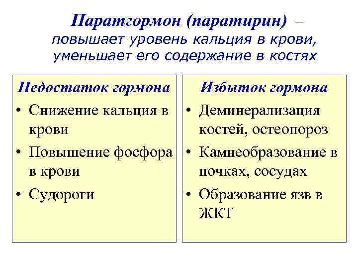 Паратгормон (паратирин) – повышает уровень кальция в крови, уменьшает его содержание в костях Недостаток