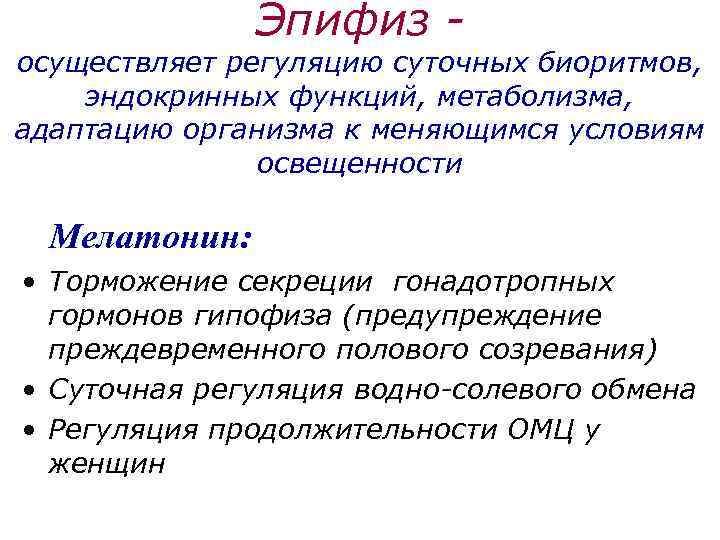 Эпифиз - осуществляет регуляцию суточных биоритмов, эндокринных функций, метаболизма, адаптацию организма к меняющимся условиям