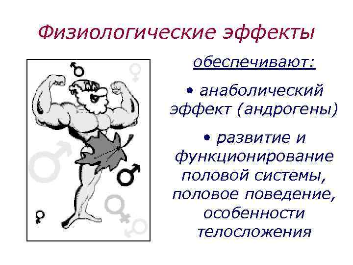 Физиологические эффекты обеспечивают: • анаболический эффект (андрогены) • развитие и функционирование половой системы, половое