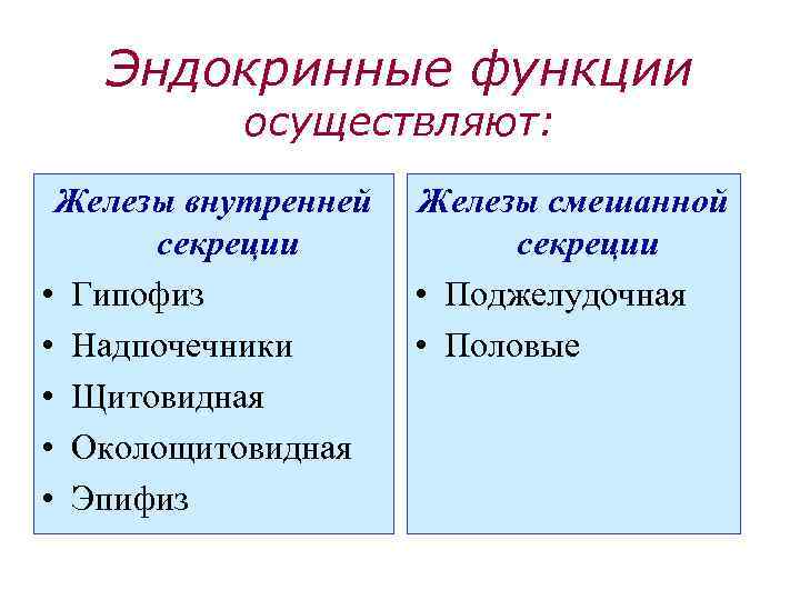 Эндокринные функции осуществляют: Железы внутренней секреции • Гипофиз • Надпочечники • Щитовидная • Околощитовидная