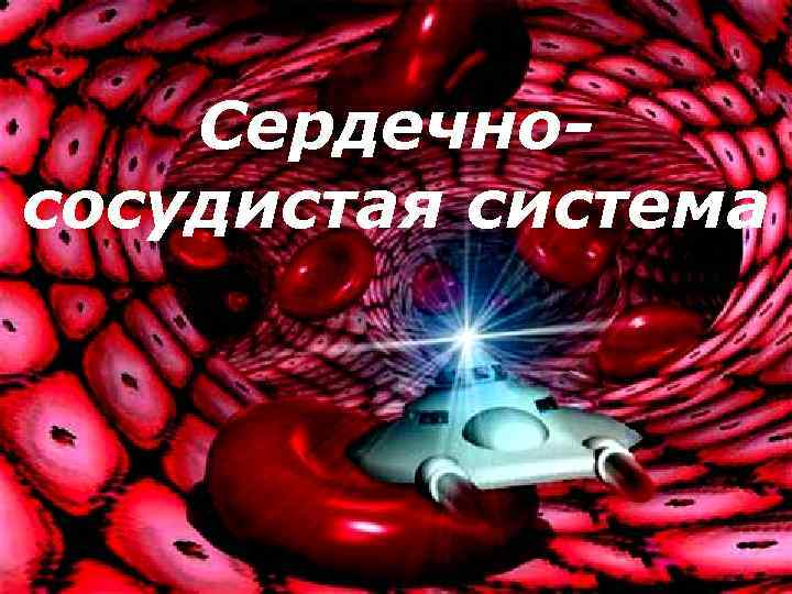 Сердечнососудистая система 
