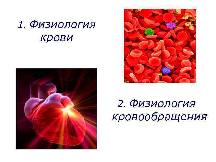 1. Физиология крови 2. Физиология кровообращения 
