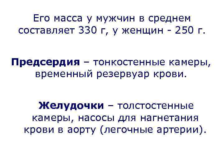 Его масса у мужчин в среднем составляет 330 г, у женщин - 250 г.