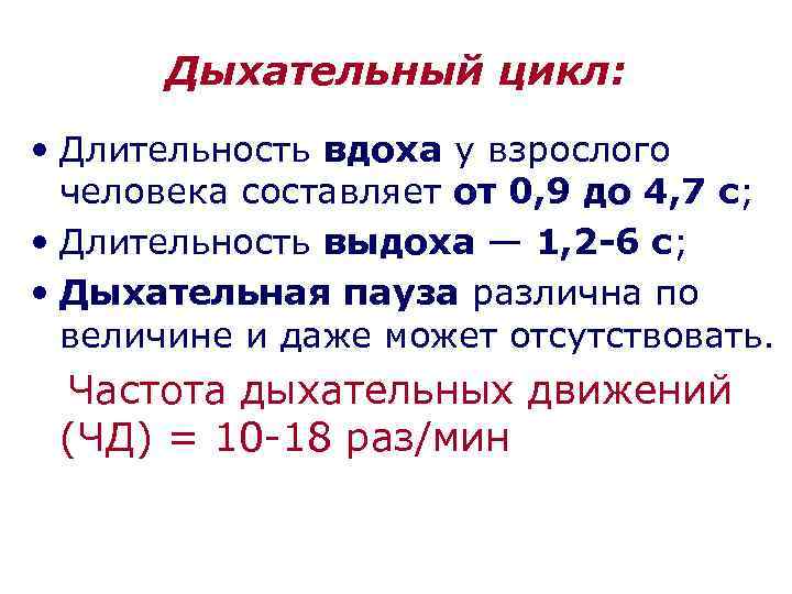 Дыхательный цикл: • Длительность вдоха у взрослого человека составляет от 0, 9 до 4,