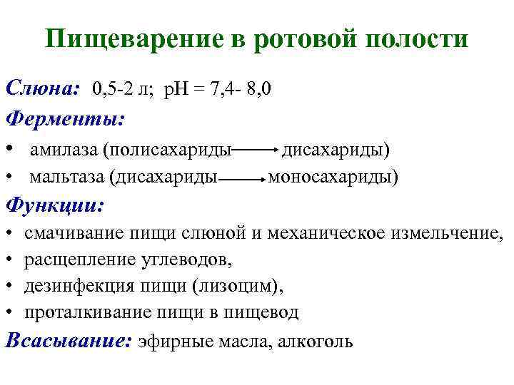 Пищеварение в ротовой полости Слюна: 0, 5 -2 л; р. Н = 7, 4