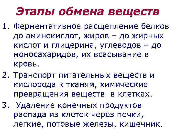 Этапы обмена веществ 1. Ферментативное расщепление белков до аминокислот, жиров – до жирных кислот