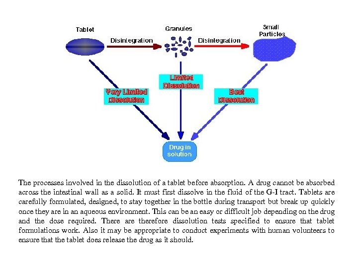 The processes involved in the dissolution of a tablet before absorption. A drug cannot