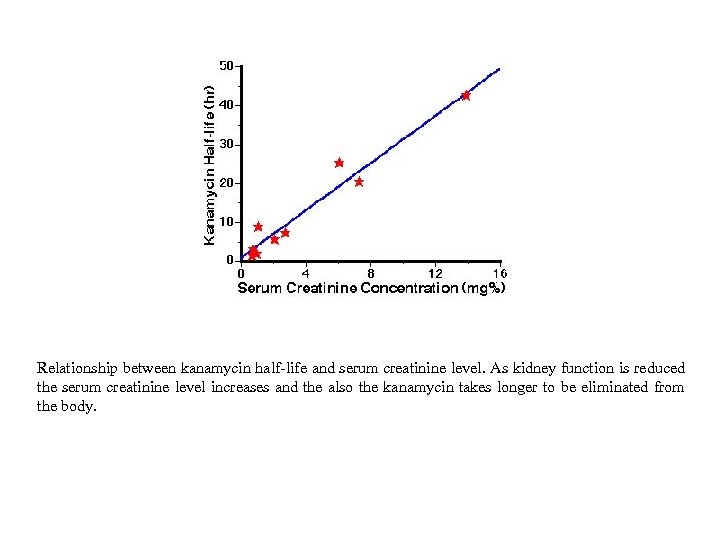 Relationship between kanamycin half-life and serum creatinine level. As kidney function is reduced the