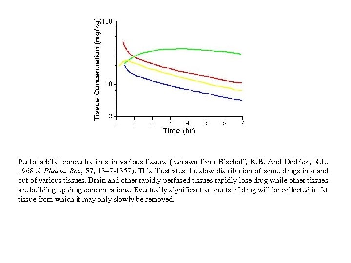 Pentobarbital concentrations in various tissues (redrawn from Bischoff, K. B. And Dedrick, R. L.