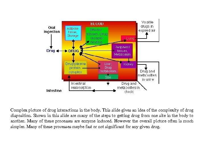 Complex picture of drug interactions in the body. This slide gives an idea of