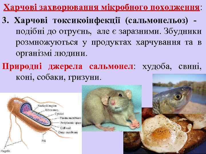 Харчові захворювання мікробного походження: 3. Харчові токсикоінфекції (сальмонельоз) подібні до отруєнь, але є заразними.