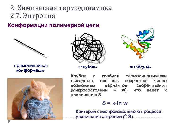 2. Химическая термодинамика 2. 7. Энтропия Конформации полимерной цепи прямолинейная конформация «клубок» «глобула» Клубок