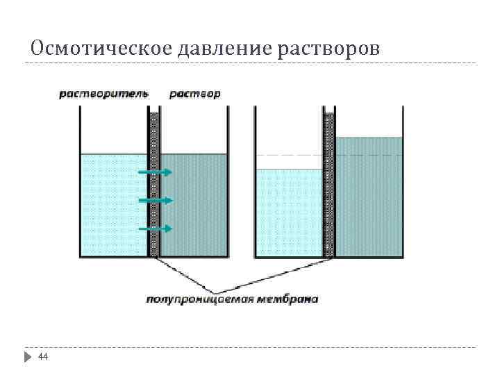 Осмотическое давление растворов 44 