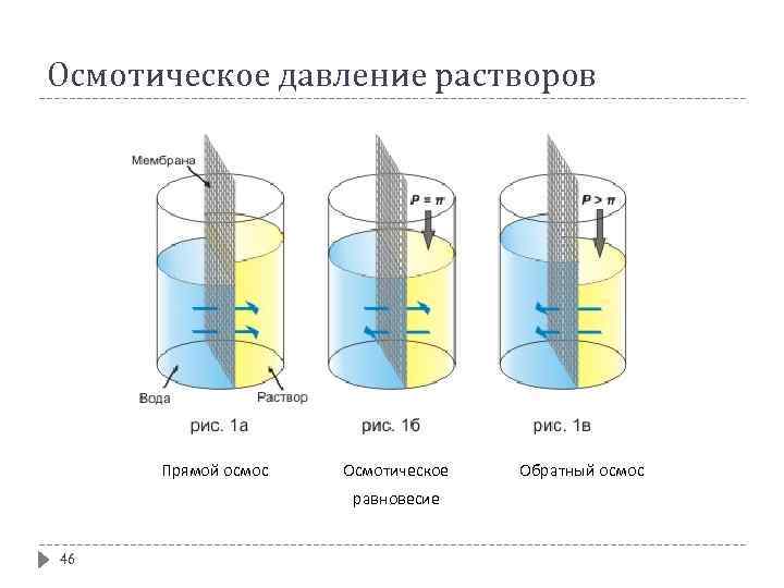 Осмотическое давление растворов Прямой осмос Осмотическое равновесие 46 Обратный осмос 