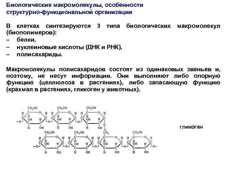 Биологические макромолекулы, особенности структурно-функциональной организации В клетках синтезируются 3 типа биологических (биополимеров): белки, нуклеиновые