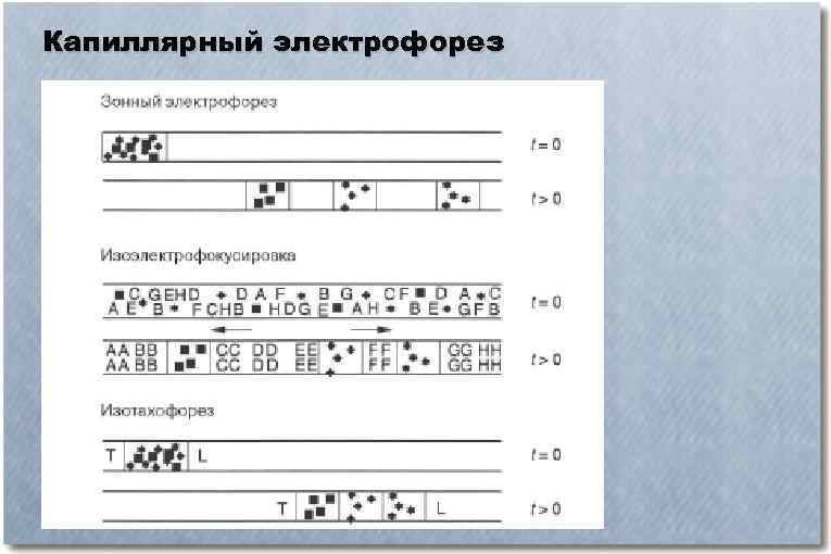 Капиллярный электрофорез 