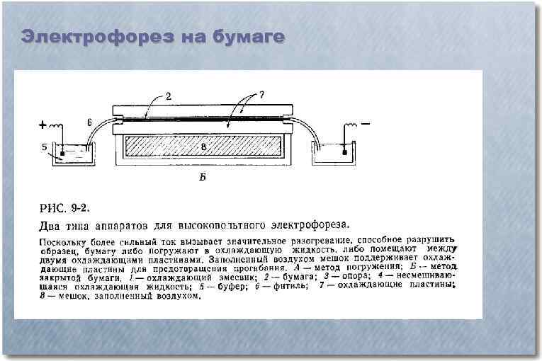 Электрофорез на бумаге 