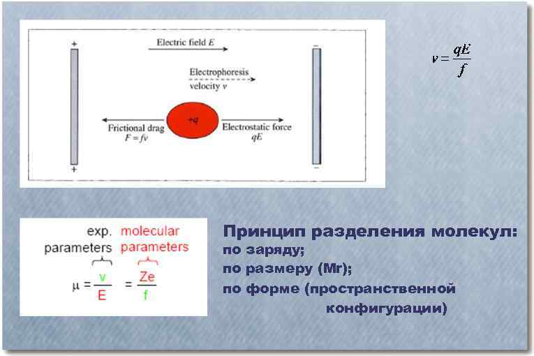 Размерность заряда. Деление молекул. Разоединение молекул с помощью тока. Метод размерности заряд.