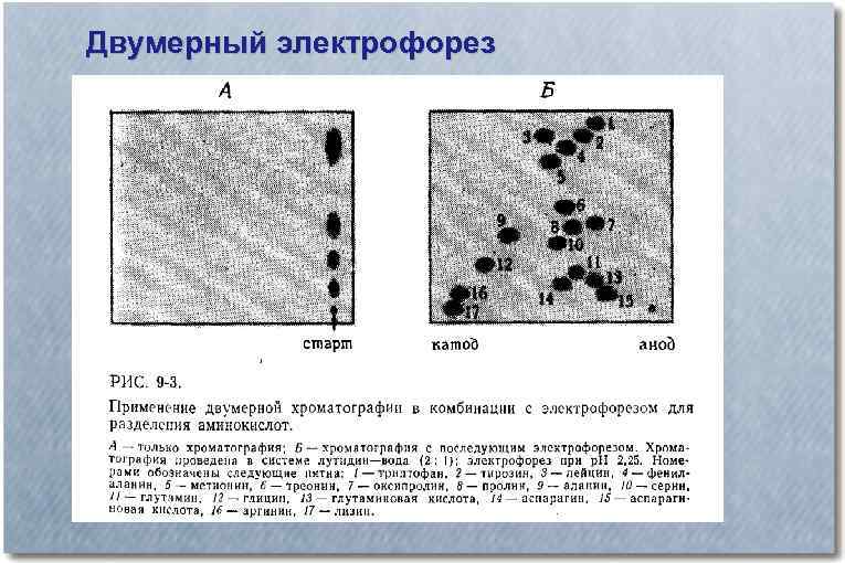 Деление молекул