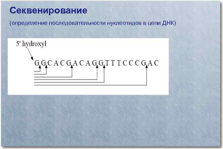 Секвенирование (определение последовательности нуклеотидов в цепи ДНК) 