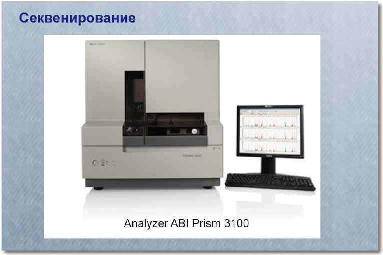 Секвенирование 